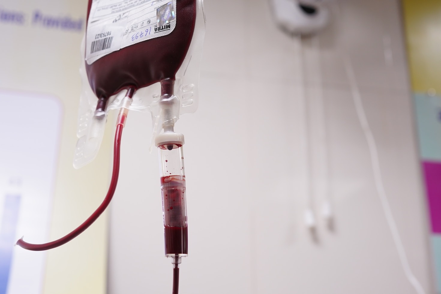 Comprehensive Solutions for Blood Health Challenges